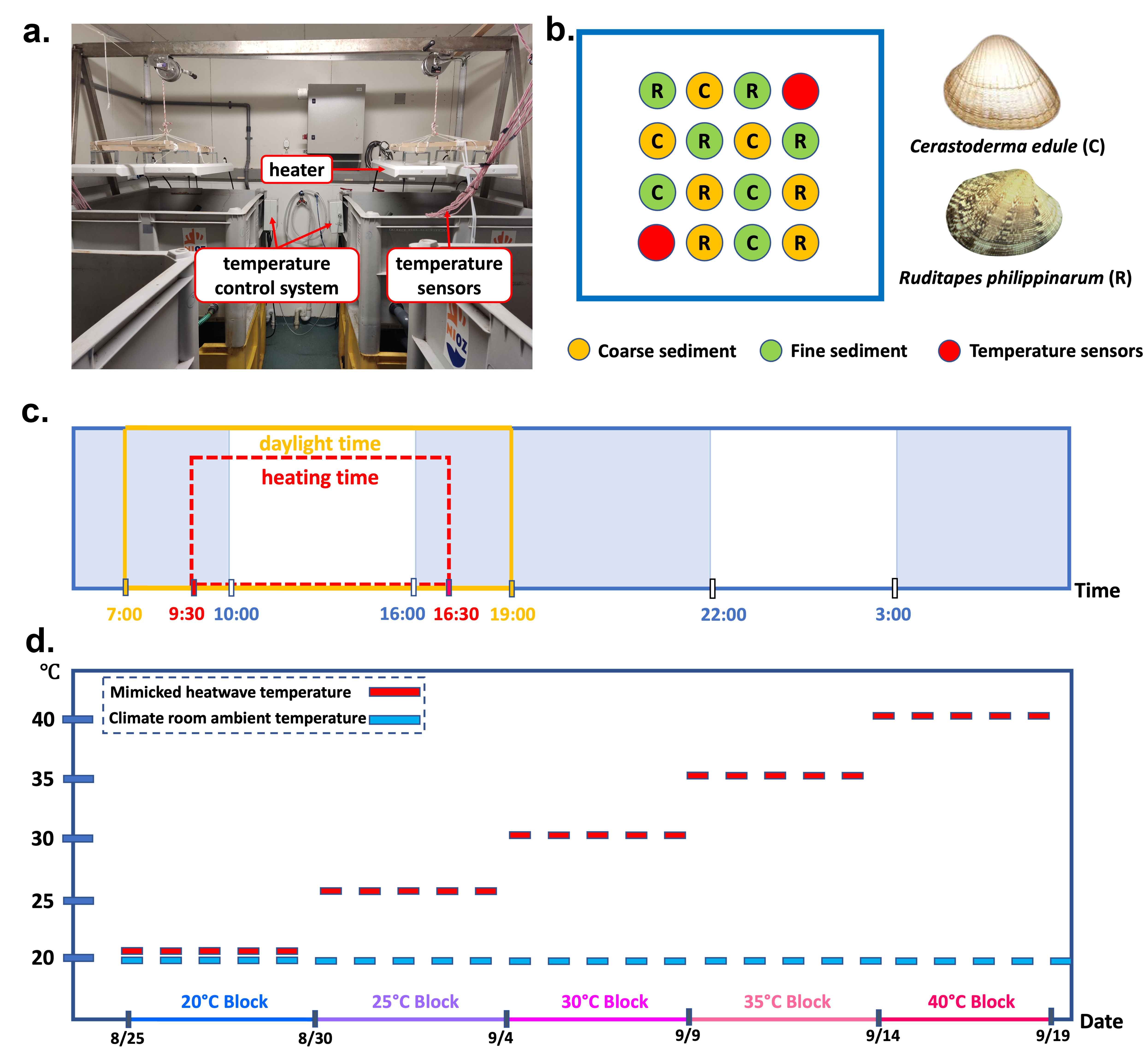 Mesocosm setup